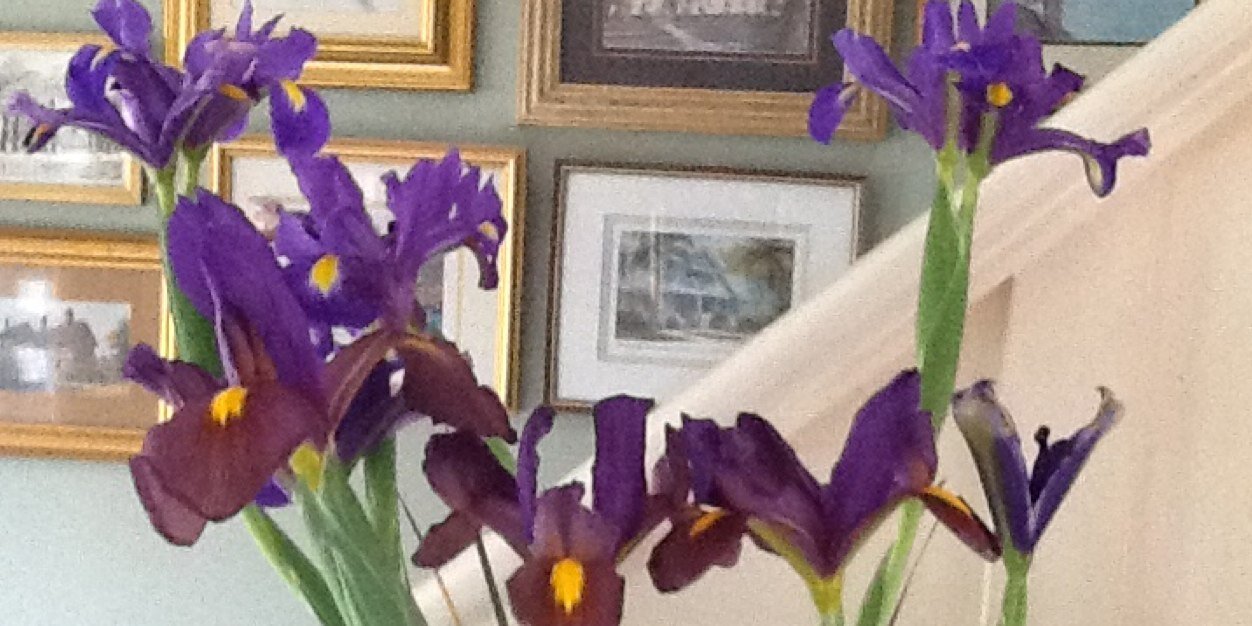 wendydorling's profile banner image