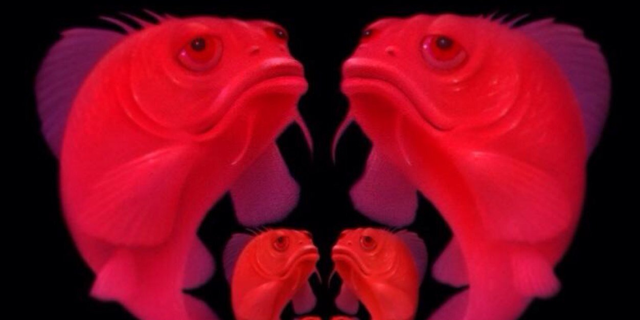 figdyn's profile banner image