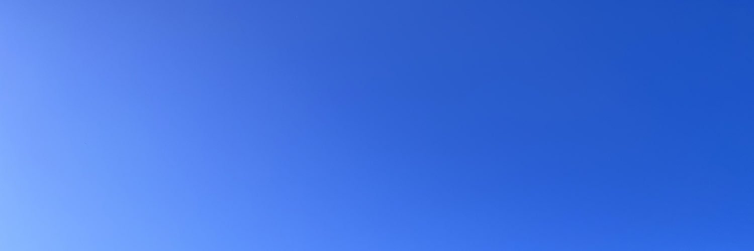 Ray banner