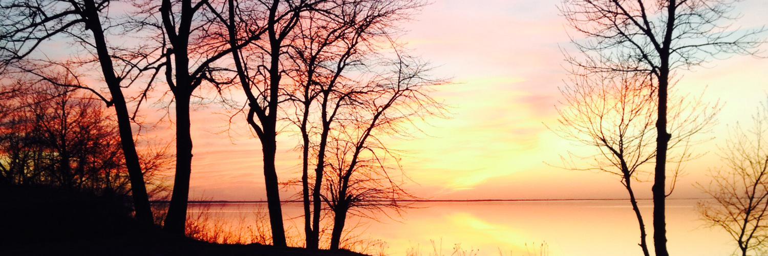 elks1978's profile banner image