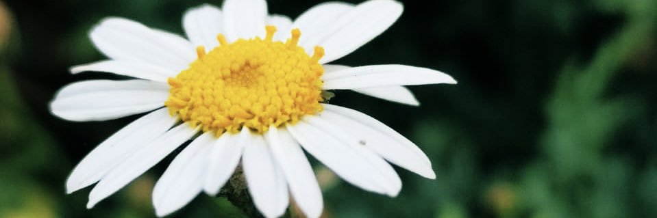 binmisfer's profile banner image