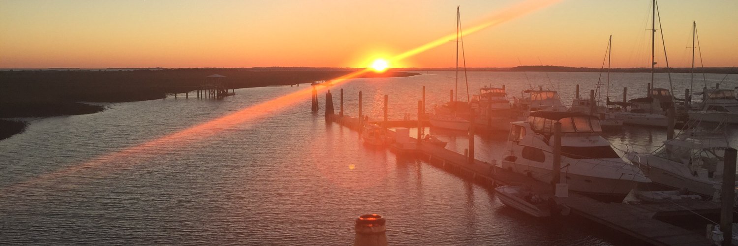 Mike Love/hates Panthers & Braves banner