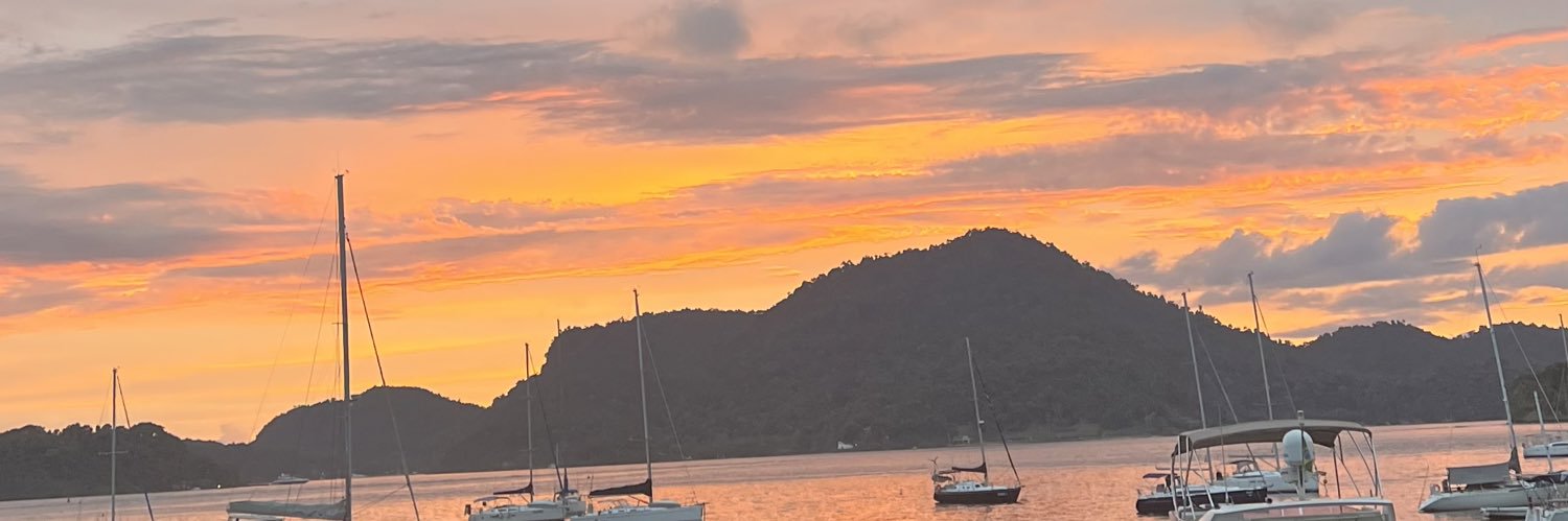 thaismorgade's profile banner image