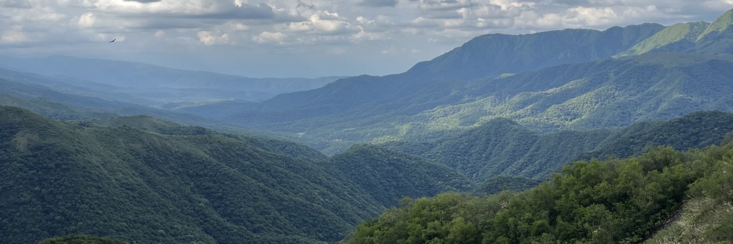 Angie Navarro banner