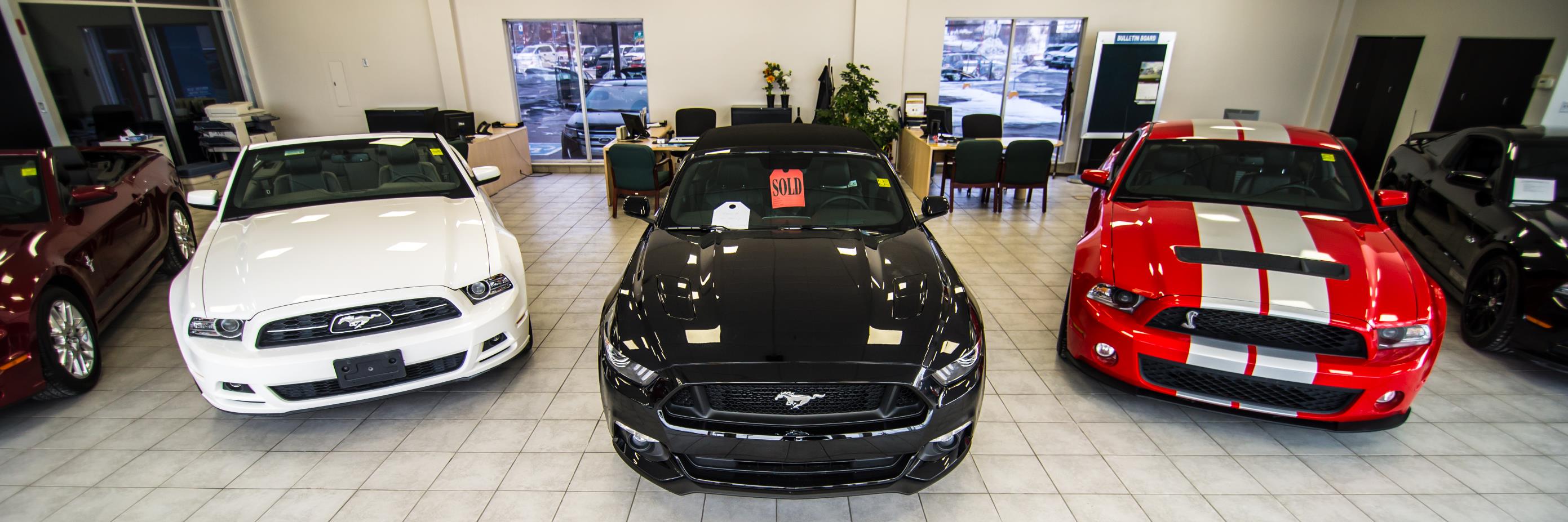campbell_ford's profile banner image