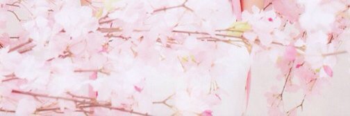 もみじ (固ツイ確認願います) banner