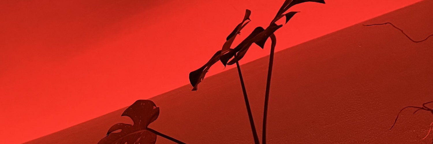slshasha's profile banner image