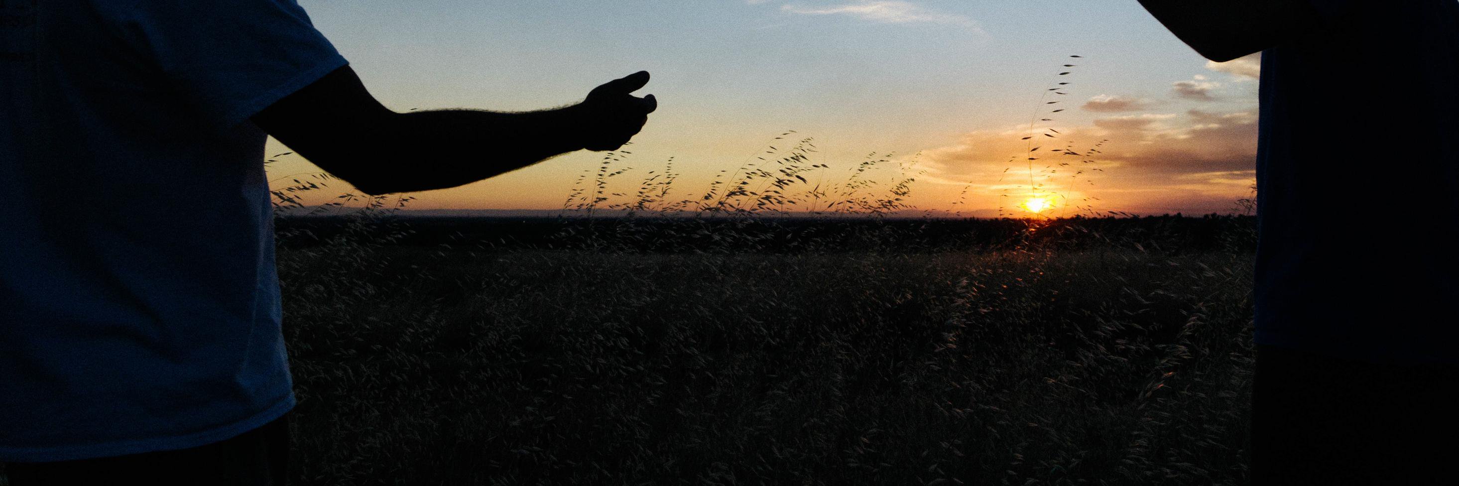allusionbrewing's profile banner image
