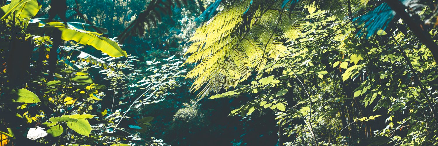 dobleese's profile banner image