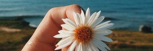 •Maely• banner