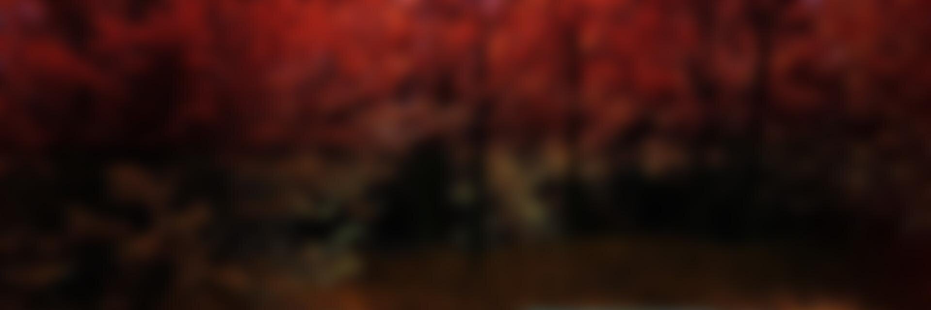zeyug's profile banner image