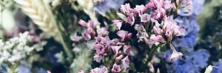 cher_ven's profile banner image
