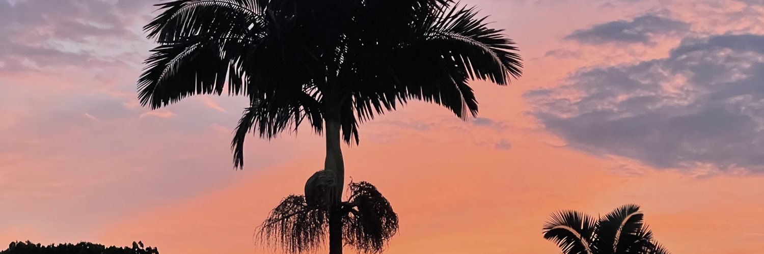 troismots3's profile banner image