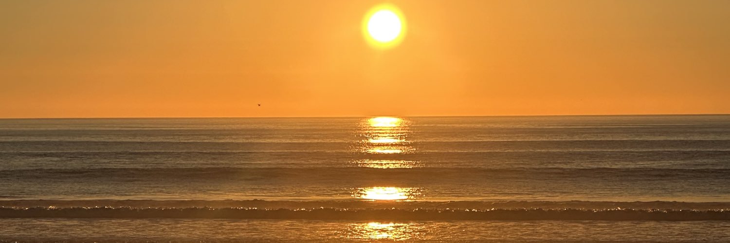 sienadlt's profile banner image