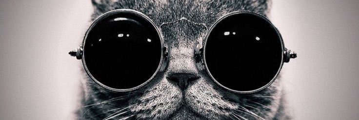 Im_The_Fool_'s profile banner image