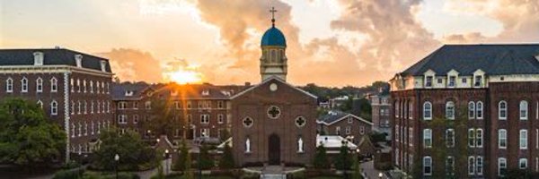 teezog Profile Banner