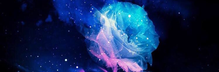 RosesForBelle's profile banner image