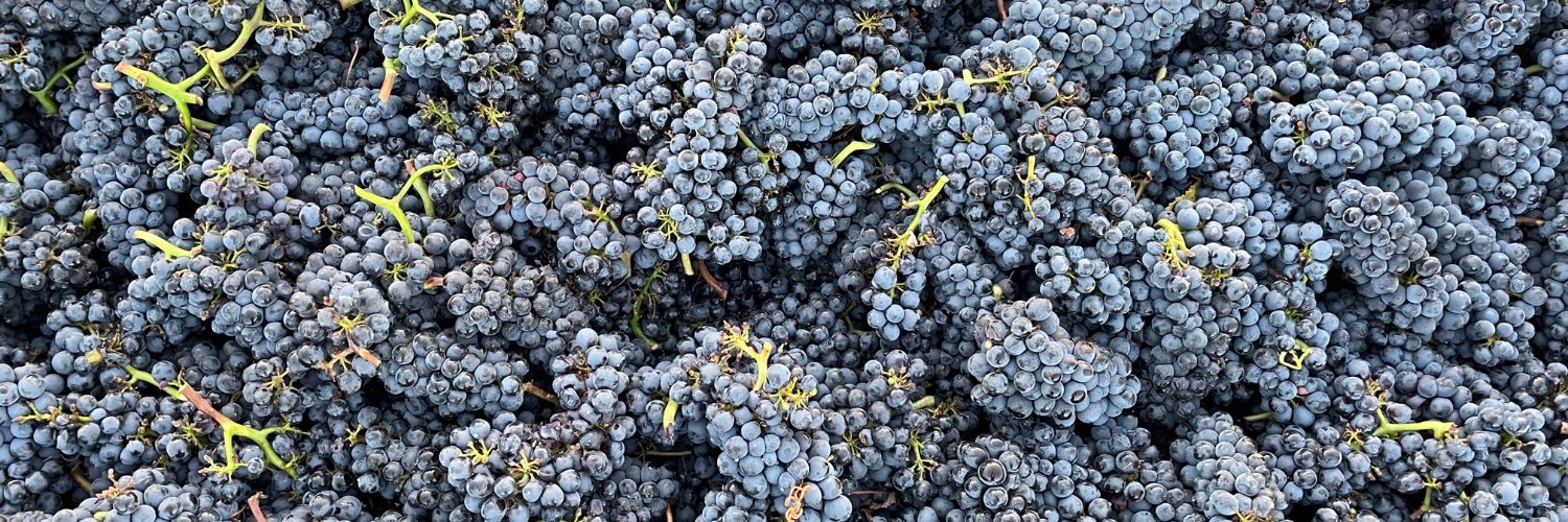 Oregon Wine banner