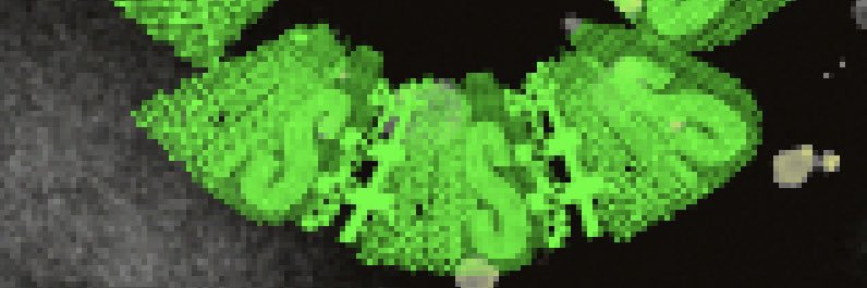 creatd2create's profile banner image