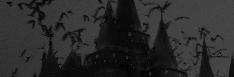 🦇 banner