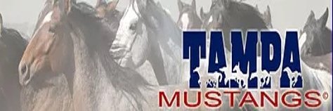 Tampa Mustangs's banner