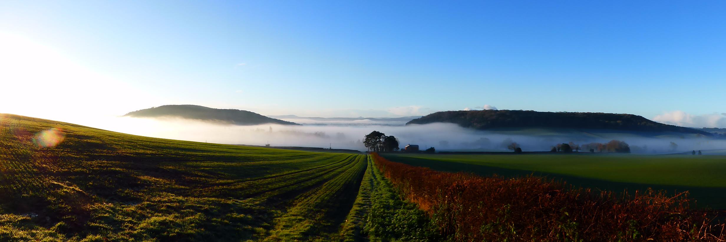 Richard Robinson banner