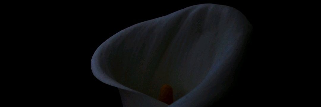 smbadi's profile banner image