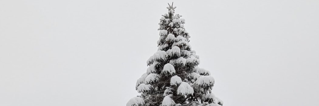 rtn_ari's profile banner image