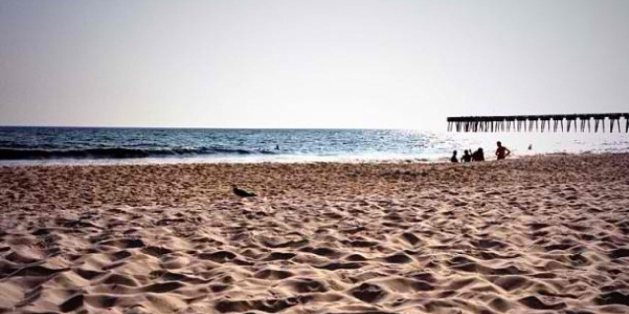 eri_alvey's profile banner image