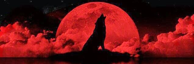 “The Marshal” Kyle Wolff banner