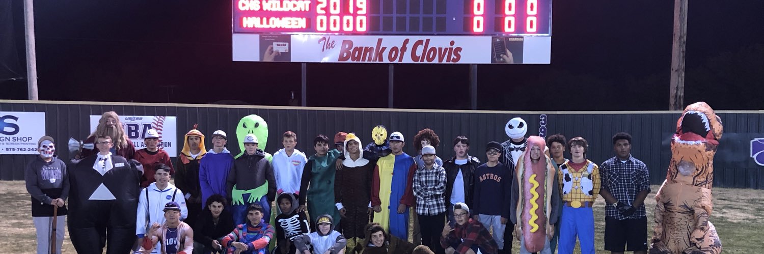 CHSCatbaseball banner