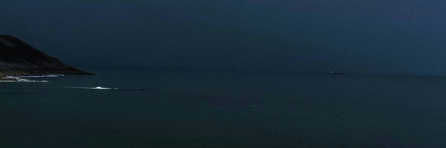 leftokayo's profile banner image