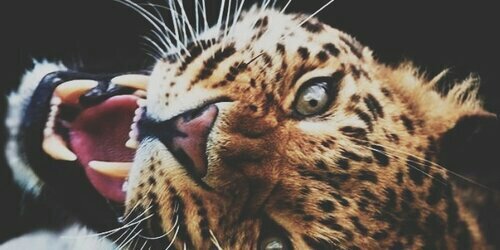 AnaMariaFrancoC's profile banner image