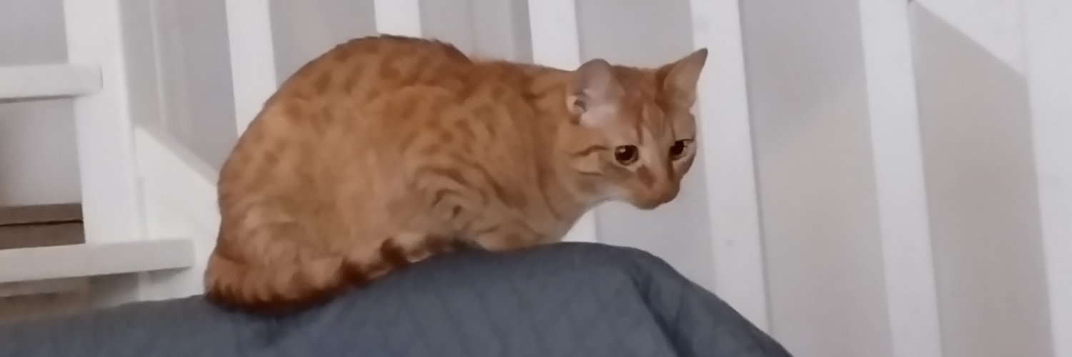 akubicki's profile banner image