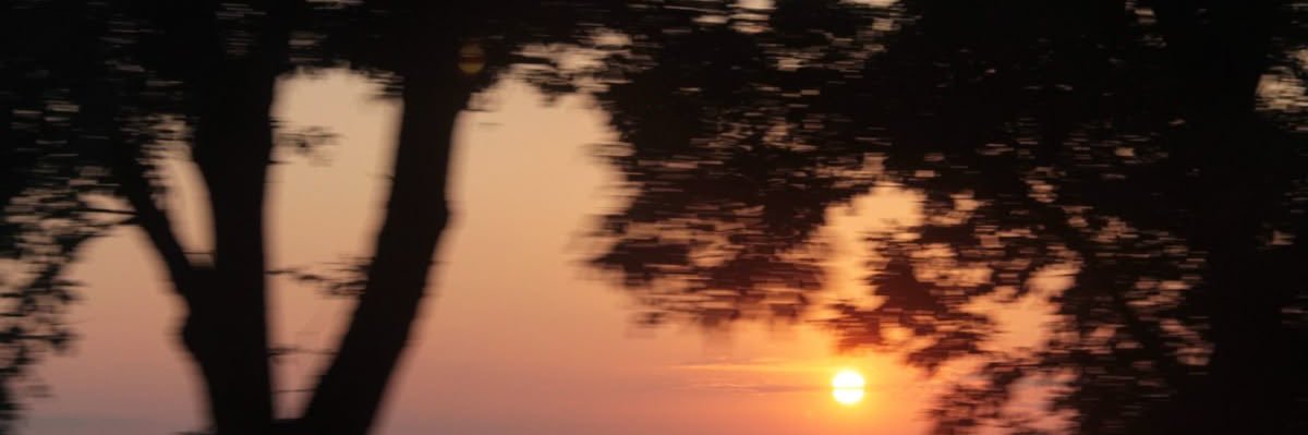 sk5sj's profile banner image