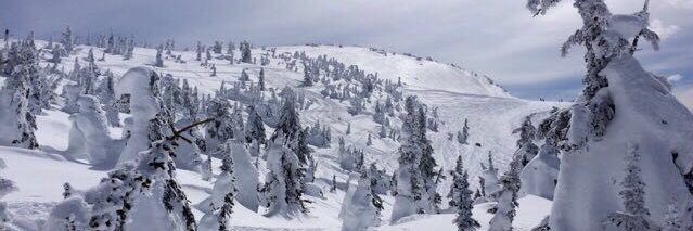 PacificBoarder's profile banner image