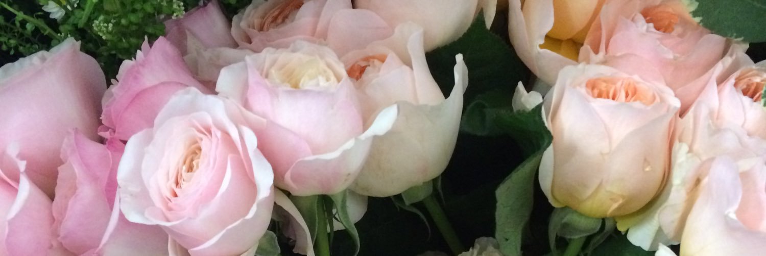 aroominbloom's profile banner image