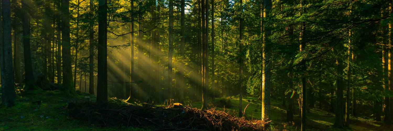 RealPavka's profile banner image