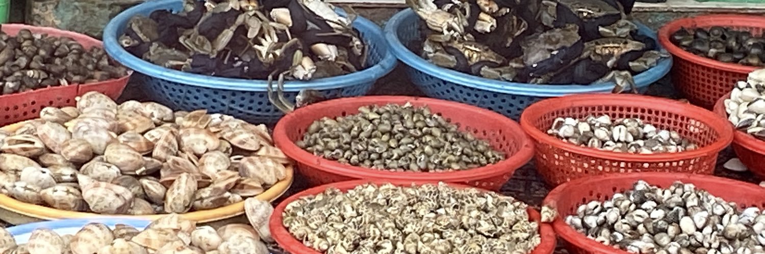 Elizabeth MacLaren banner