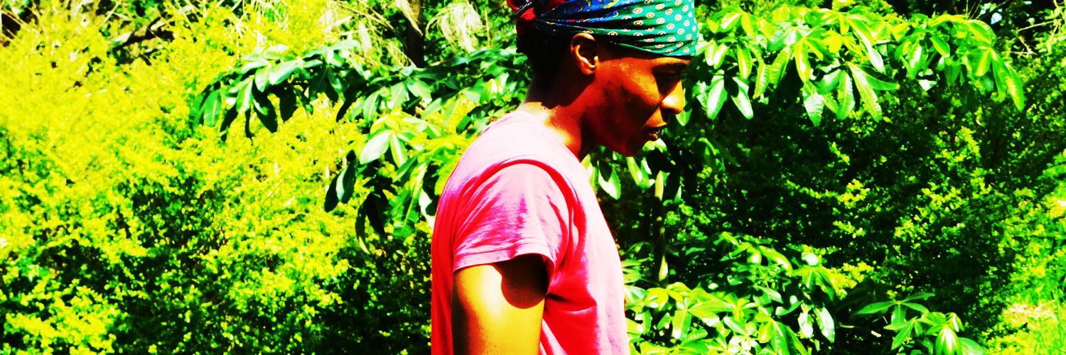 WelloElevation's profile banner image