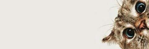 duca_7's profile banner image