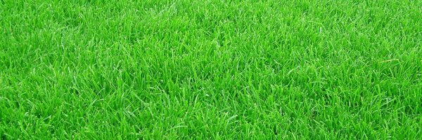 AdareGAA Profile Banner