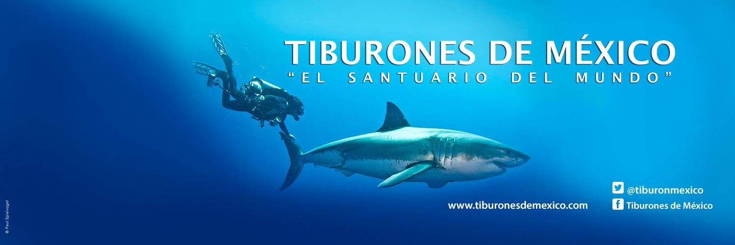 TiburonMexico's profile banner image