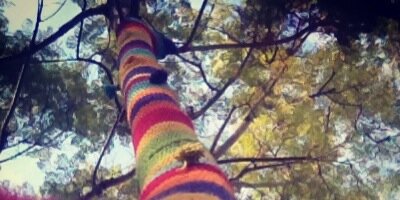 anittadp's profile banner image