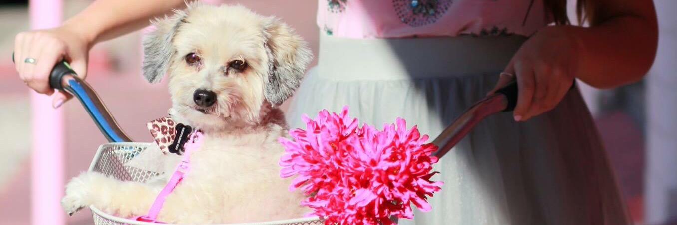 madtmay's profile banner image