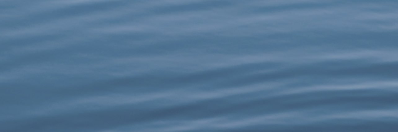 Prova79(spunta blu) banner