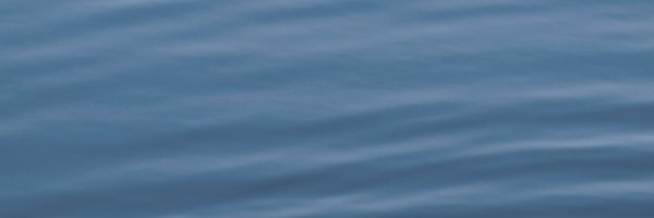 Prova7979 Profile Banner