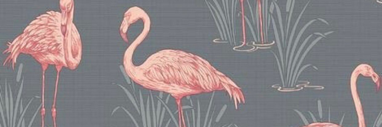 Linsey Whyte banner