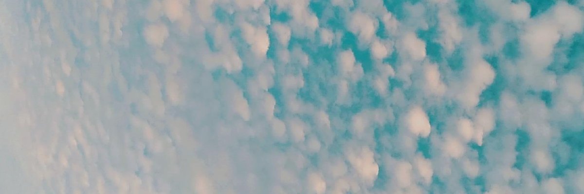 Pipixipip_'s profile banner image