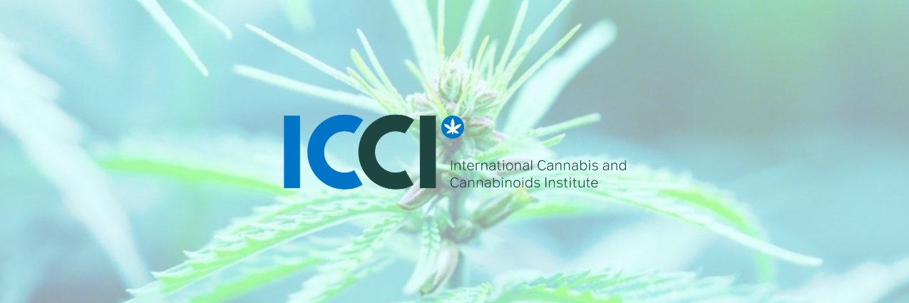 International Cannabis and Cannabinoids Institute banner